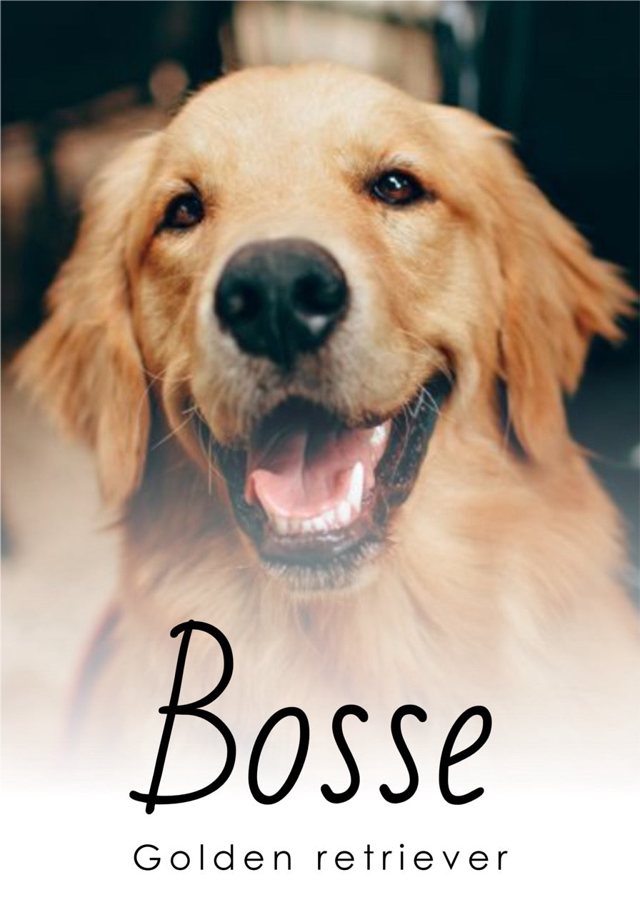Lag din egen hundeplakat