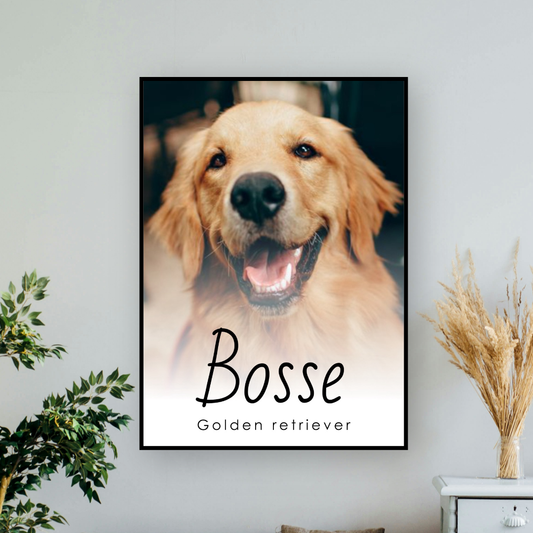 Lag din egen hundeplakat